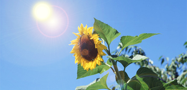 夏熱中症注意！
